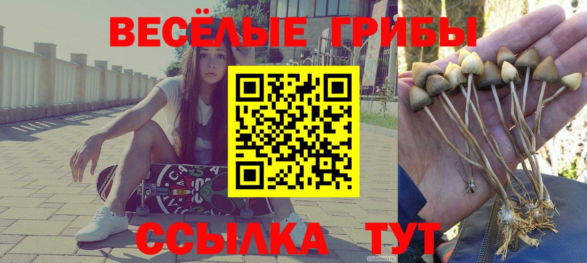 Псилоцибиновые грибы мухоморы  Вход с VPN  Чапаевск 